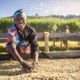 Woman sorting coffee beans on a farm with a scenic background