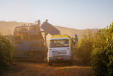 Brazil - Fazenda Pinhal