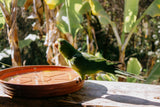 Brazil - Fazenda Pinhal