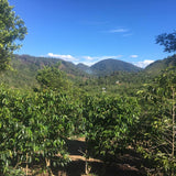 Indonesian Highlands