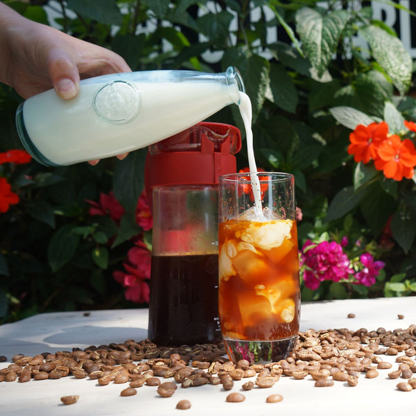Should you make Cold brew or Iced Coffee?