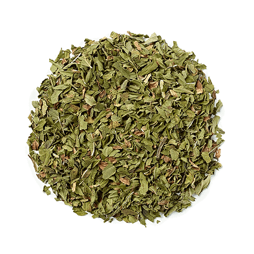 Novus Egyptian Mint Tea Bags