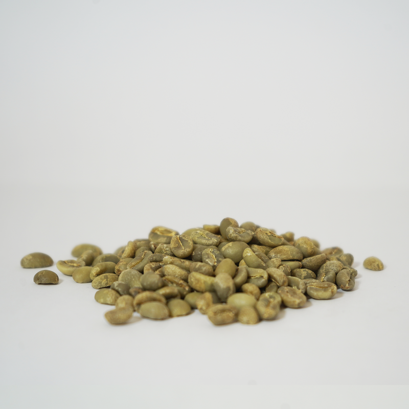 Green Beans • Ethiopia • Sidamo