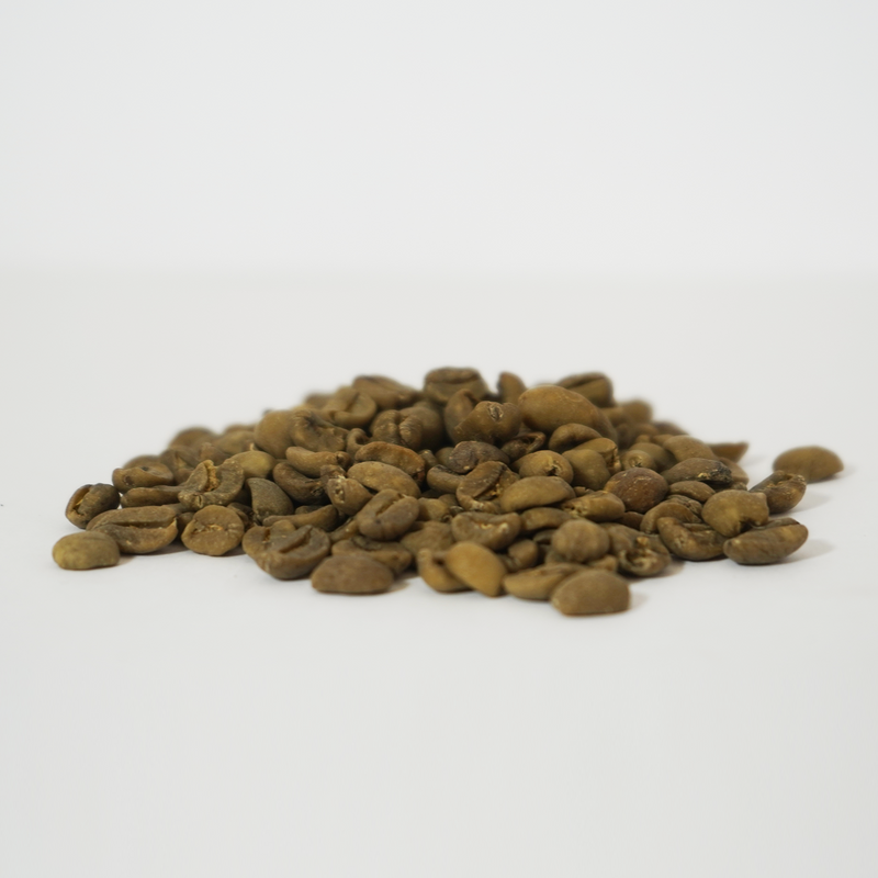 Green Coffee Beans • Guatemala • Swiss Water Decaf